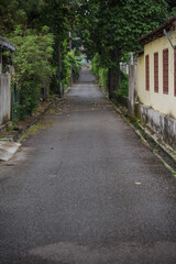 Foliage covered walkway in the backlane. Green city concept. Township planning.