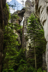 rock in the forest, Adršpach-Teplice Rocks, Adrspach-Teplice Rocks