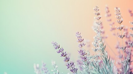 Obraz premium A pastel background with subtle shades of peach, lavender, and mint green. The soft tones provide a serene, soothing look for wellness or lifestyle visuals.