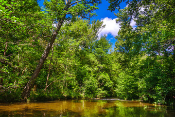 La Rivière de l'Orbieu en Occitanie française. Elle prend sa source dans les Corbières audoises.