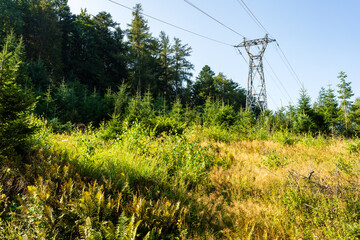 Obraz premium Réseau électrique rural traversant la forêt, massif des Vosges, région Grand Est, France