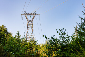 Réseau électrique rural traversant la forêt, massif des Vosges, région Grand Est, France