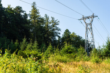 Réseau électrique rural traversant la forêt, massif des Vosges, région Grand Est, France