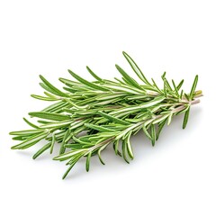 Fototapeta premium Fresh rosemary isolated on white background 