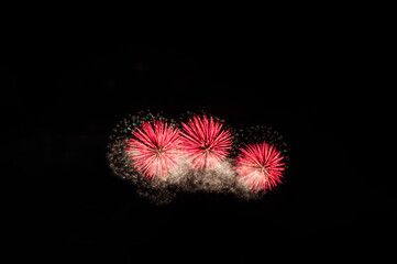 Fototapeta premium Colorful fireworks with Black background