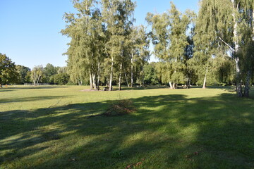 Obraz premium Auszeit am Fachweiher Nürnberg