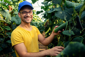 Farmer standing in cucumber greenhouse looking at camera.