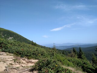 Mountain landscape and forest horizontal color photo image