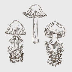 Decorative graphic set of mushroom sketches.