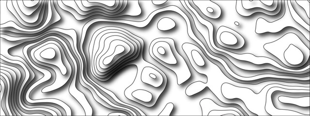 Fototapeta premium White background topography contour map with black curve lines. Modern design with White background with topographic wavy pattern design. Geographic mountain relief.