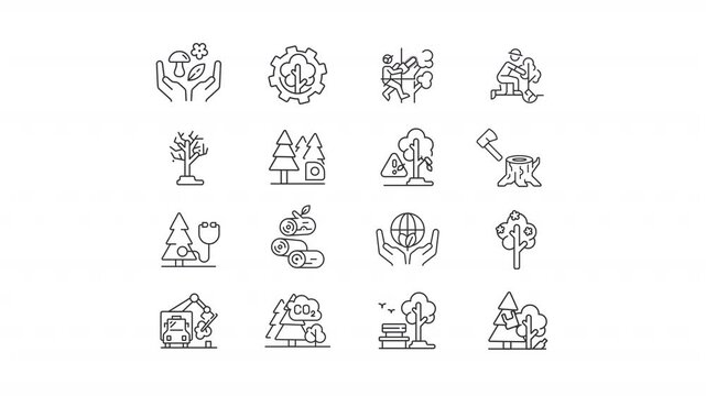 Arboriculture line animation library. Animated icons related to tree services. Arborist. Tree care. Black illustrations on white background. HD video with alpha channel. Motion graphic