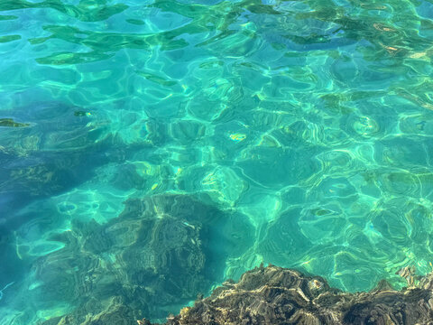 Beautiful ocean transparent emerald water with underwater seaweed.