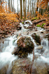 Little stream in the autumn forest with the rocks and the orange foliage