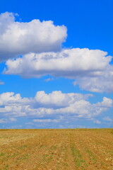 Feld mit blauem Himmel und Wolken