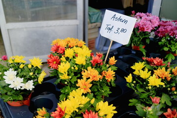 Astern Verkaufsstand