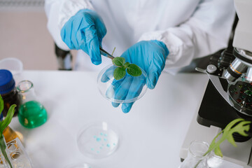 Eco laboratory microbiology. Sample in a Microscope and comparing a plant or herb in test tube or glassware. Natural product and organic cosmetic health care.