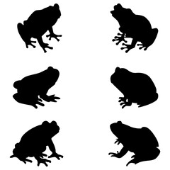 Frog Silhouette set on white background