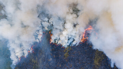 Wildfires are burning forests more intensely in the summer and there is a lot of smoke.