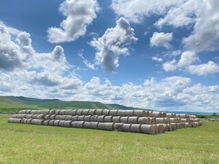 grass mound