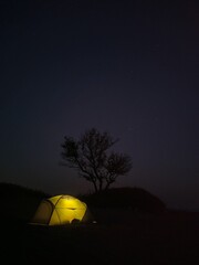 Illuminated tent under starry night sky with a tree silhouette