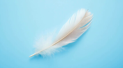 Naklejka premium Single white feather on blue background.