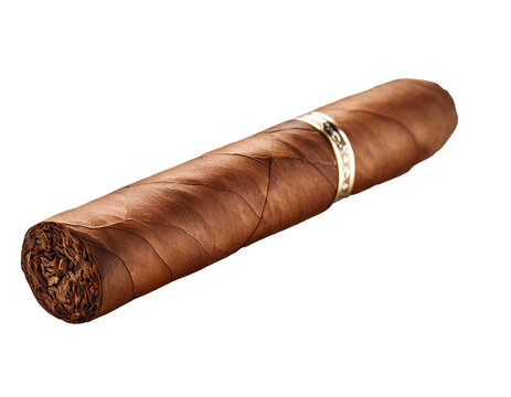 Zigarre isoliert auf wei&szlig;en Hintergrund, Freisteller 