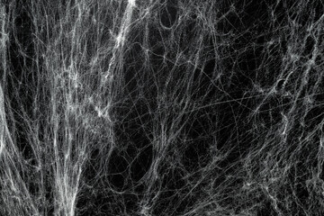 Spooky creepy cobweb spiders web covered a black background. Abstract halloween background.