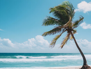 A palm tree swaying in the wind by the beach.


