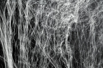 Spooky creepy cobweb spiders web covered a black background. Abstract halloween background.