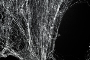 Spooky creepy cobweb spiders web covered a black background. Abstract halloween background.