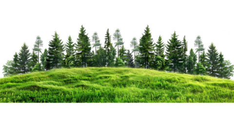 green grass forest with tree on hill panorama landscape isolated on white or transparent png