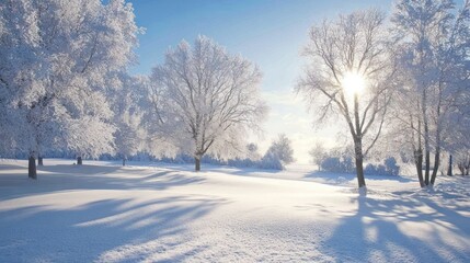 Snowy landscape with trees in the winter.