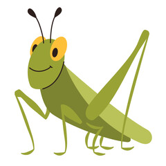 Flat vector illustration on white background. Cute grasshopper in children's style . Vector illustration
