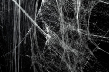 Spooky creepy cobweb spiders web covered a black background. Abstract halloween background.