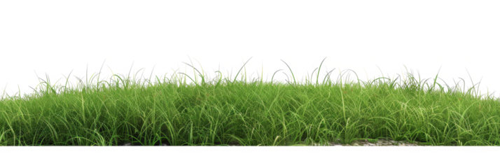 The PNG file showcases a verdant green grass hill, elegantly isolated from its background, offering a versatile element for digital compositions or designs.