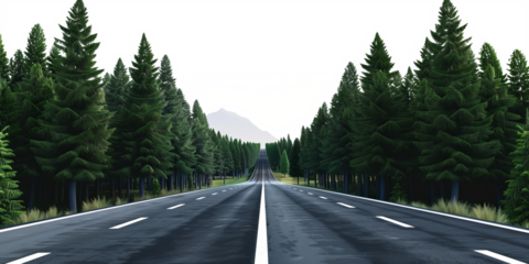 The image depicts a straight road winding through a dense green forest, leading toward a mountain in the distance, with the sky removed to highlight the lush landscape.