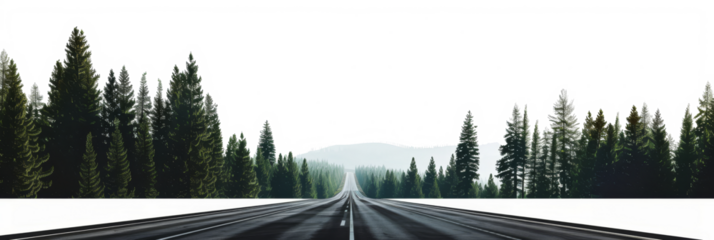 The cutout landscape image showcases a road crossing through a winter forest, with the surrounding elements removed to focus on the pathway surrounded by snow-covered trees.