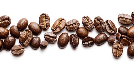 Fototapeta premium Coffee Beans Line