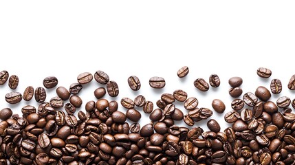 Coffee Beans Line
