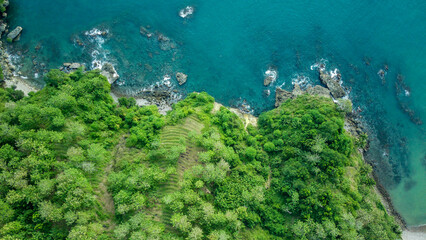 Awe-Inspiring Beauty: Unforgettable Aerial View of Wanalela forest and Peninsulas in Indonesia 