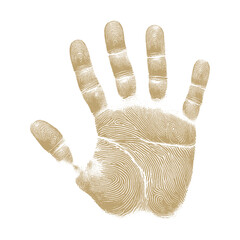 human handprint vector , The handprint should look realistic vector