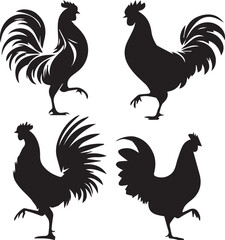 Chicken silhouette, Chicken icon, Chicken vector, 