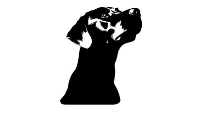 Head of a Labradoodle Dog Black Silhouette Looking Up