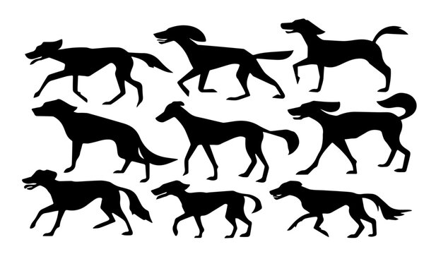 Collection Set of Silhouettes of Dogs Running at the Dog Racing Black Vector
