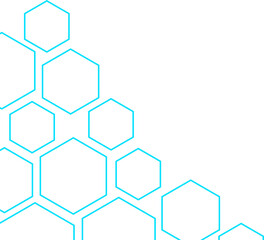 Hexagon Outline Corner