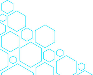 Hexagon Outline Corner