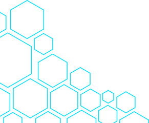 Hexagon Outline Corner