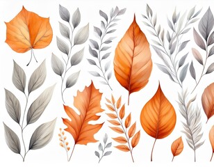 Fall flower wreath with watercolor Aster and branch of berries. Hand drawn red and orange floral frame with blooming in rustic style.