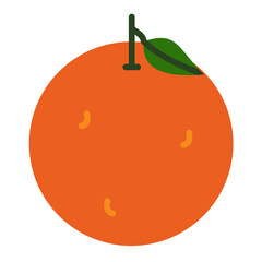 Vector Design Tangerine Icon Style