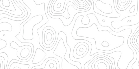 Abstract Topography map crave white wave doodle line topo map diagram relief line grid topo mountain background. geometric Line topography map contour background.	
